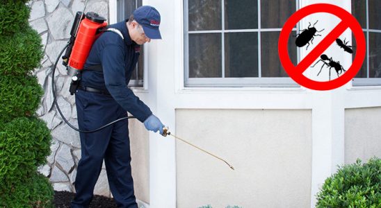 Balçova Bit İlaçlama böcek ilaçlama ve haşere kontrolü — ilaclama-tr.com
